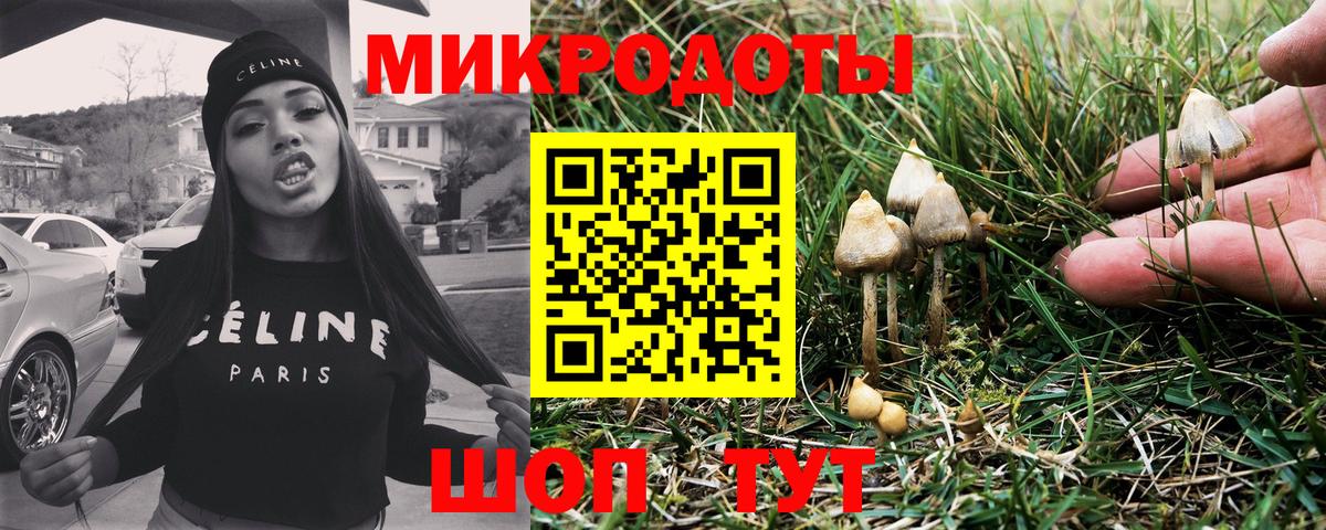 Галлюциногенные грибы GOLDEN TEACHER Ипатово