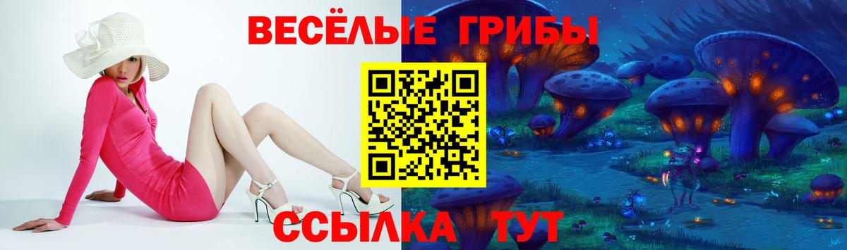 Галлюциногенные грибы Psilocybine cubensis  Вход с VPN  Псилоцибиновые грибы мицелий  Ипатово 